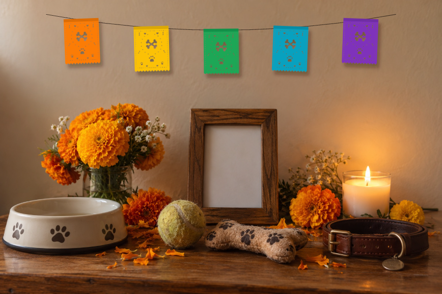 Dog-bone papel picado hanging above a pet memorial shelf with a collar, a bowl and marigolds